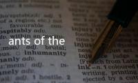 ants of the prairie設計的紐約“蝙蝠塔”（組圖）