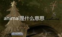 animal是什么意思中文翻譯（animal意思中文翻譯）