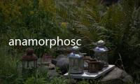 anamorphoscope(關于anamorphoscope簡述)