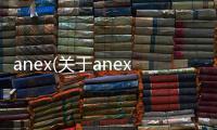 anex(關(guān)于anex簡述)