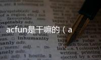 acfun是干嘛的（acfun是什么時候建立的）