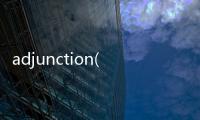 adjunction(關于adjunction簡述)