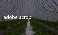 adobe acrobat pro xi序列號