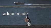 adobe reader 7.0簡體中文版軟件介紹（adobe reader 7.0簡體中文版）