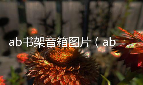 ab書架音箱圖片（ab書架箱）