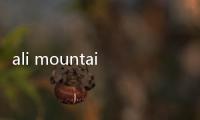 ali mountain是什么意思