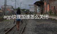 agp紋理加速怎么關(guān)閉（agp紋理加速不可用）