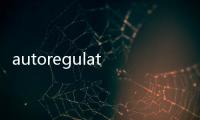 autoregulation(關于autoregulation簡述)