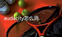 audacity怎么消除人聲保留背景音樂