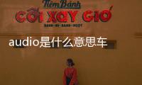 audio是什么意思車上的（audio是什么意思）