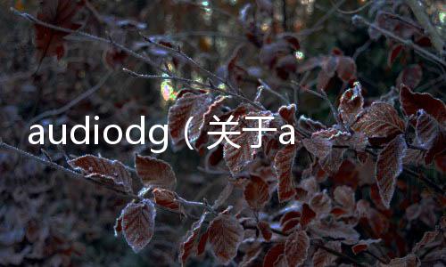 audiodg（關(guān)于audiodg的基本情況說明介紹）