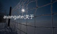 avangate(關(guān)于avangate簡(jiǎn)述)