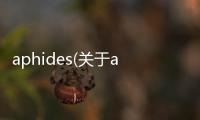 aphides(關于aphides簡述)