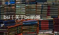 bsi（關于bsi的基本情況說明介紹）