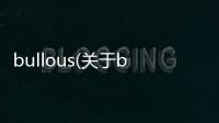 bullous(關于bullous簡述)