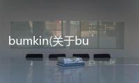 bumkin(關(guān)于bumkin簡述)