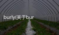 burly(關于burly簡述)