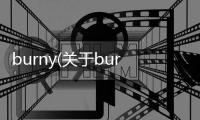 burny(關于burny簡述)