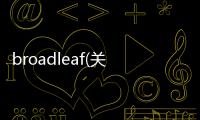broadleaf(關于broadleaf簡述)