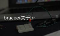 bracee(關于bracee簡述)