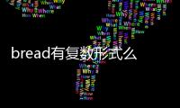 bread有復(fù)數(shù)形式么（bread的復(fù)數(shù)形式）