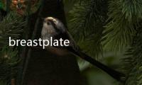 breastplates是什么意思（plates是什么意思）