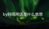 by網絡用語是什么意思啊（by是什么意思網絡用詞）