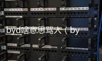byd啥意思罵人（byd是什么罵人的意思）