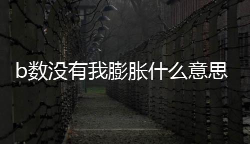 b數沒有我膨脹什么意思？b數沒有我膨脹表情包