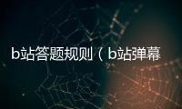 b站答題規(guī)則（b站彈幕禮儀題答案）