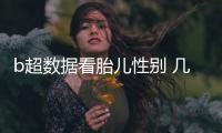 b超數據看胎兒性別 幾個月