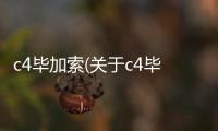 c4畢加索(關于c4畢加索簡述)