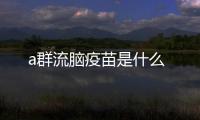 a群流腦疫苗是什么