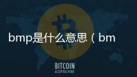 bmp是什么意思（bmp是什么）