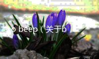 bo beep（關于bo beep的基本情況說明介紹）