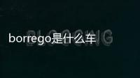 borrego是什么車價格（borrego是什么車）