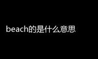 beach的是什么意思（beach是什么）