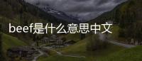 beef是什么意思中文翻譯，beef是什么意思中文