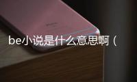 be小說是什么意思啊（be是什么意思小說）