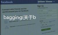 bagging(關于bagging簡述)