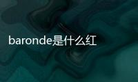 baronde是什么紅酒，低端的法國酒（幾百塊就能買到）