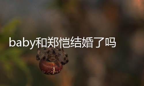 baby和鄭愷結婚了嗎（angelababy和鄭愷結婚照過嗎）
