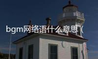 bgm網絡語什么意思（網絡上bgm是什么意思）