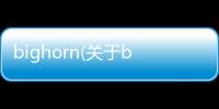 bighorn(關于bighorn簡述)