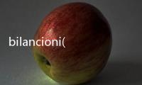 bilancioni(關于bilancioni簡述)