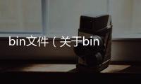 bin文件（關于bin文件的基本情況說明介紹）