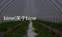 bine(關于bine簡述)