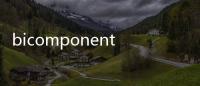 bicomponent(關于bicomponent簡述)