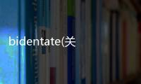 bidentate(關于bidentate簡述)