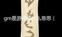 gm是游戲的什么意思（游戲gm是什么意思啊）